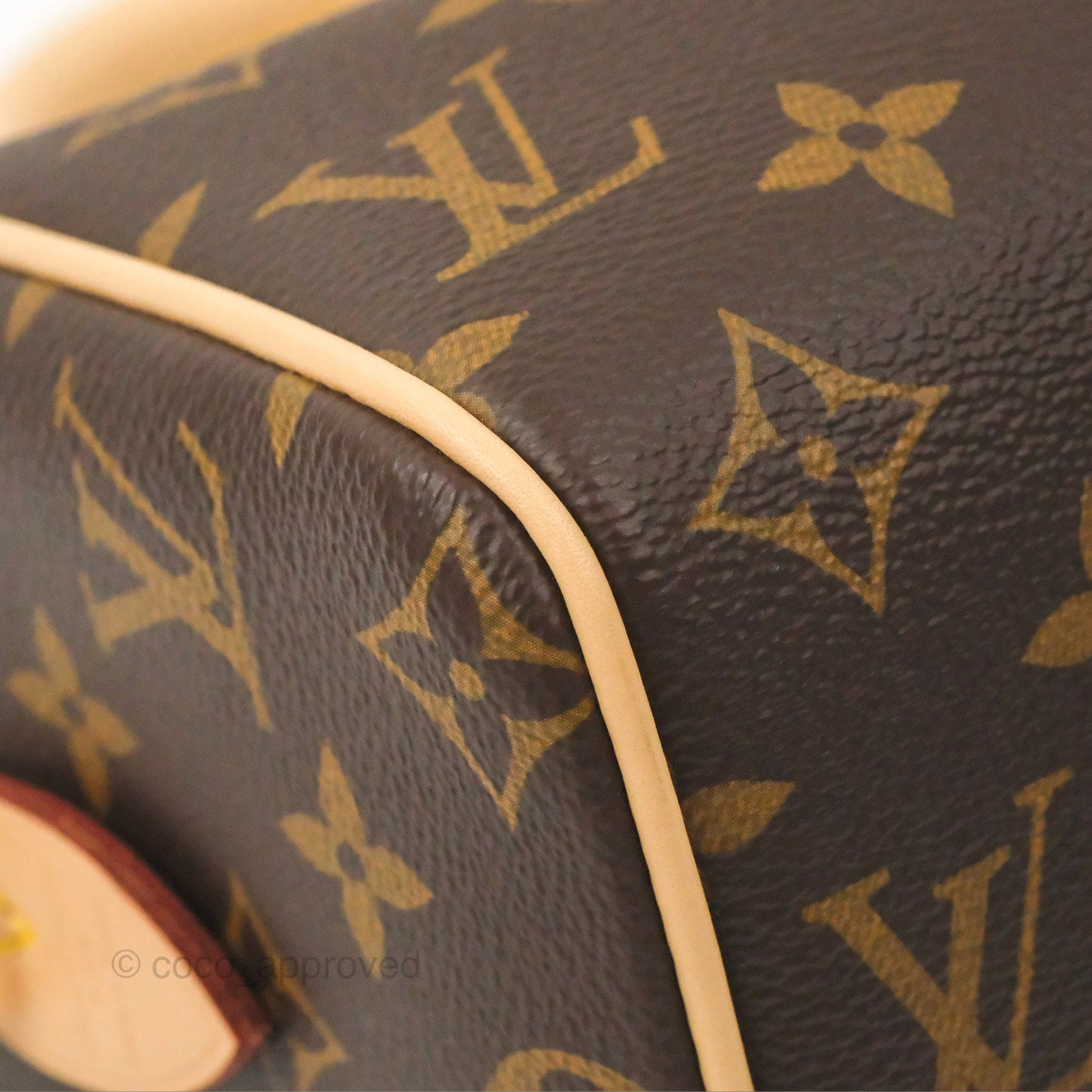 Louis Vuitton Speedy Bandoulière 20 Monogram