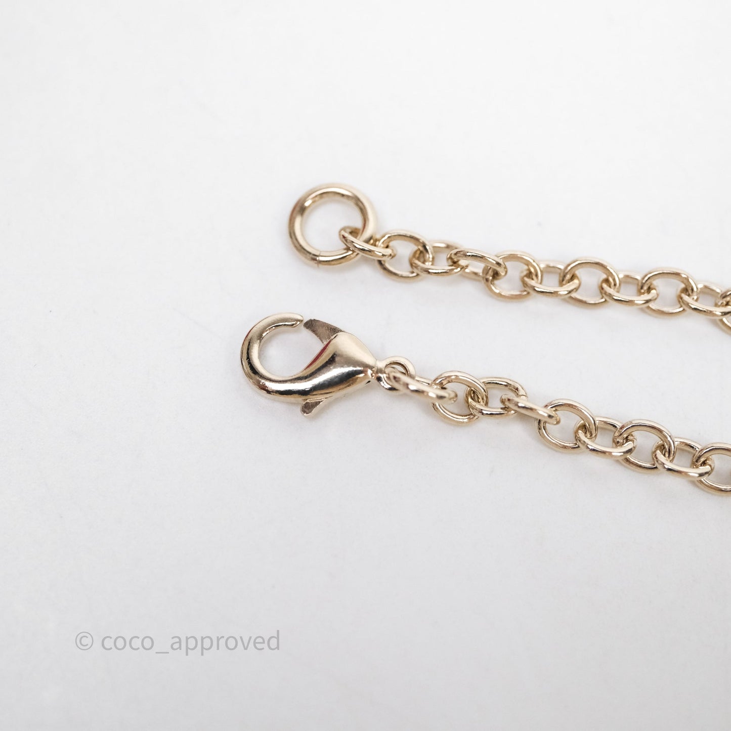 Chanel CC Logo Lion Book Locket Black/Light Gold Necklace 22C