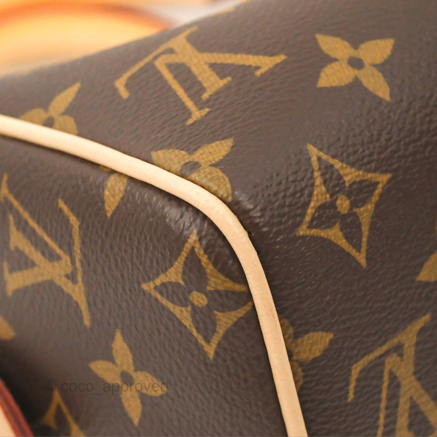Louis Vuitton Speedy Bandoulière 20 Monogram