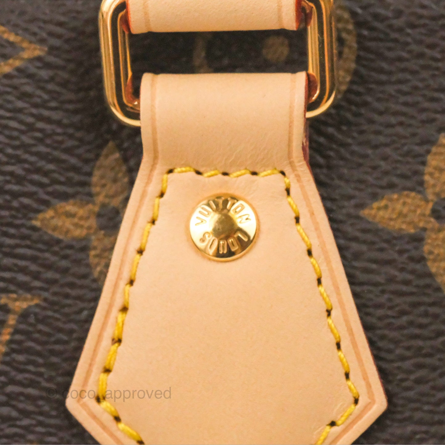 Louis Vuitton Speedy Bandoulière 20 Monogram