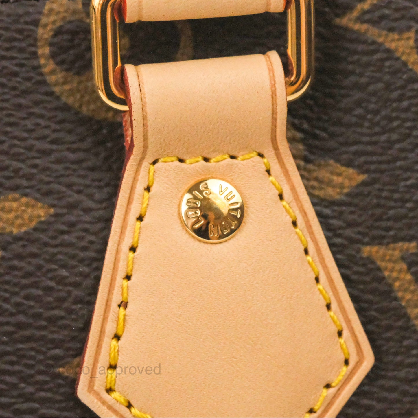 Louis Vuitton Speedy Bandoulière 20 Monogram
