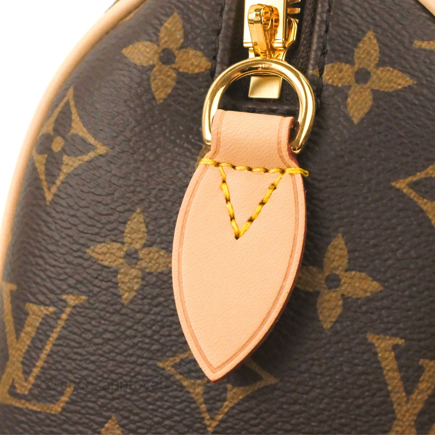 Louis Vuitton Speedy Bandoulière 20 Monogram