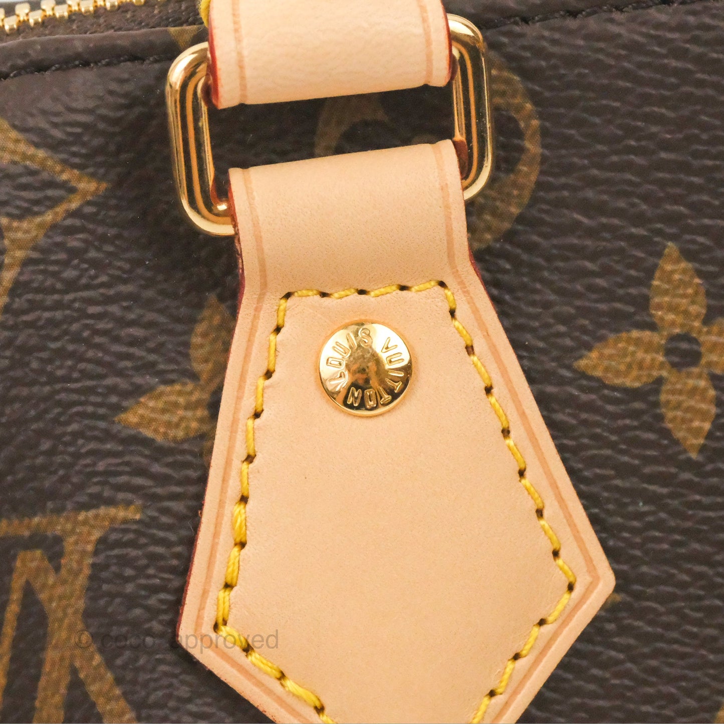 Louis Vuitton Speedy Bandoulière 20 Monogram