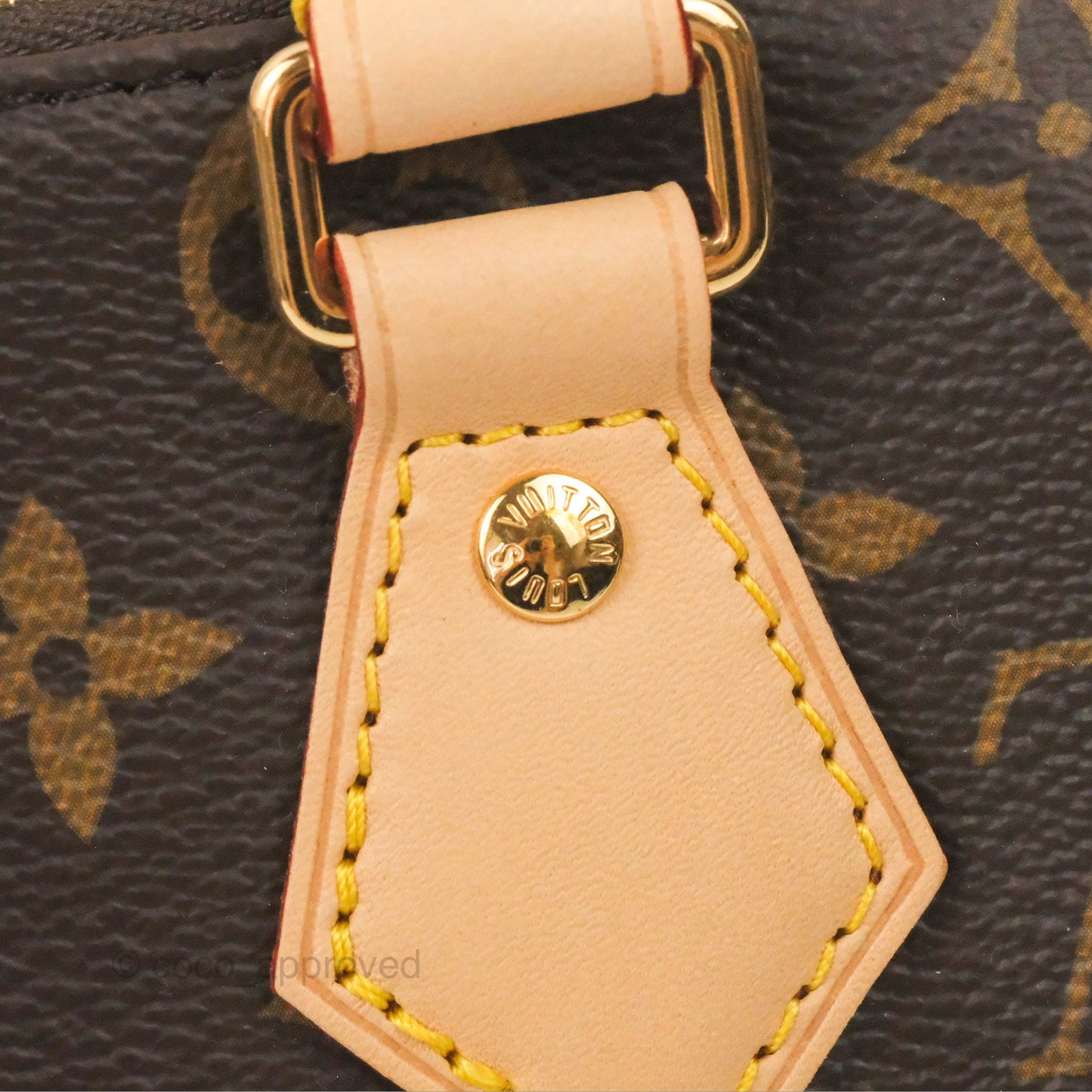 Louis Vuitton Speedy Bandoulière 20 Monogram