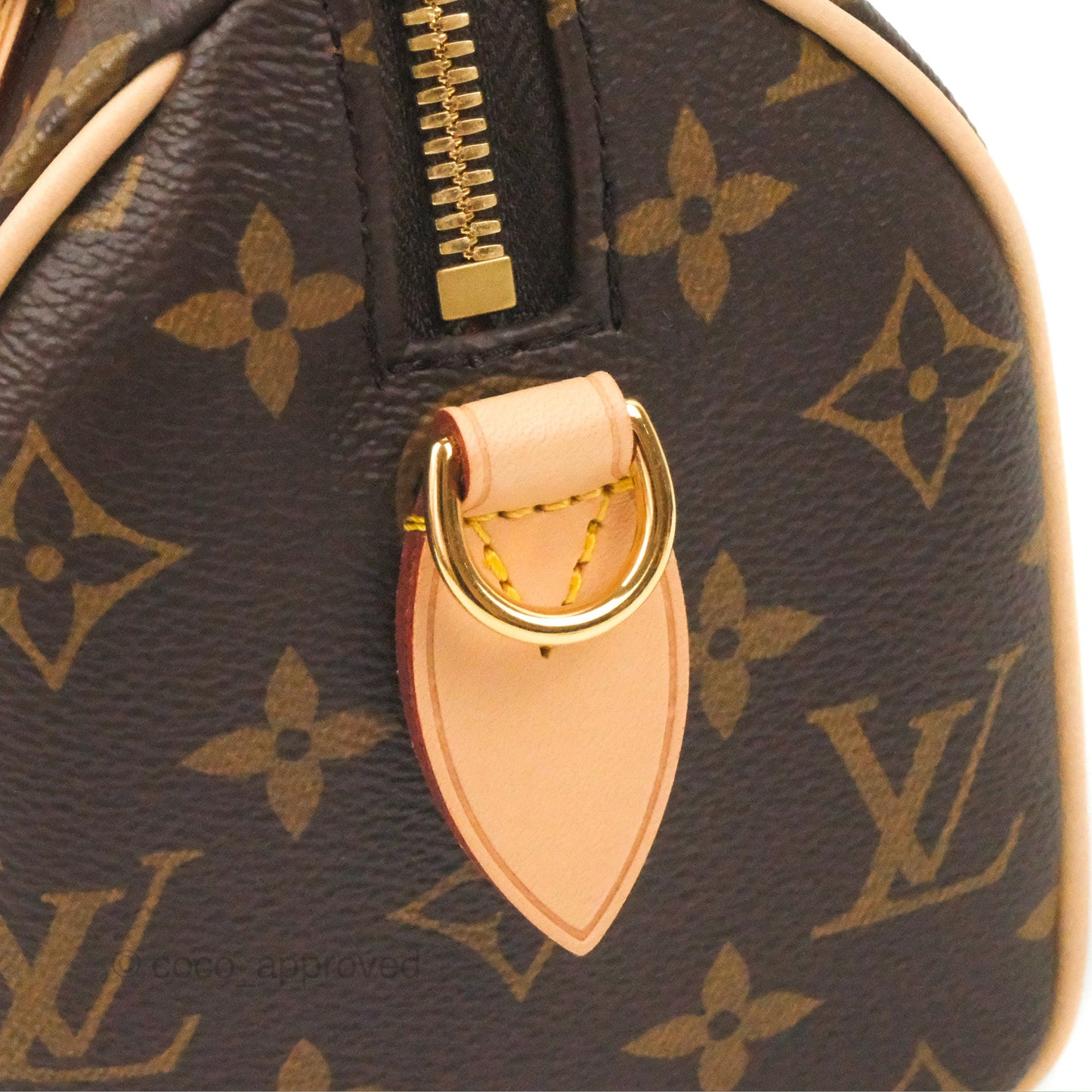 Louis Vuitton Speedy Bandoulière 20 Monogram