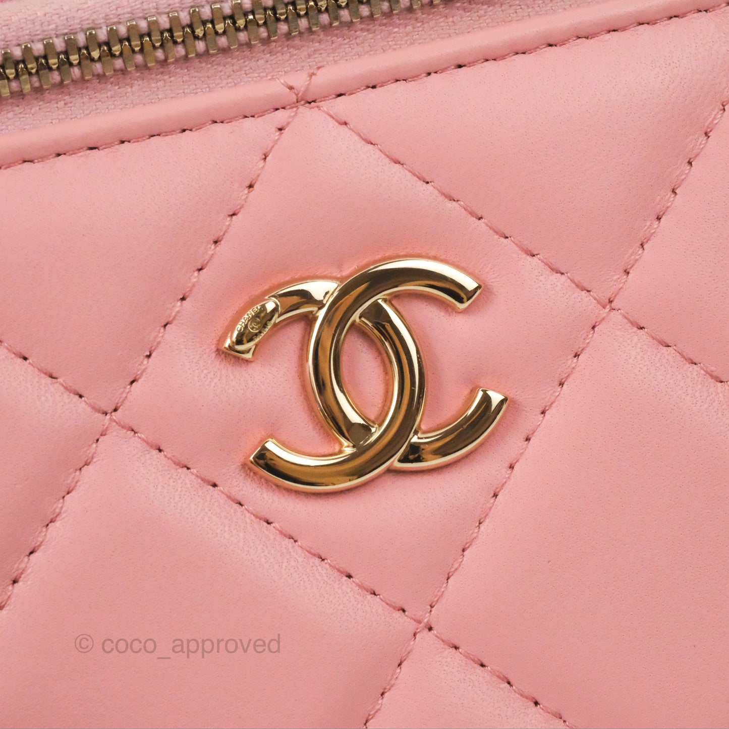 Chanel Resin Elegant Chain Vanity Case Pink Lambskin Gold Hardware