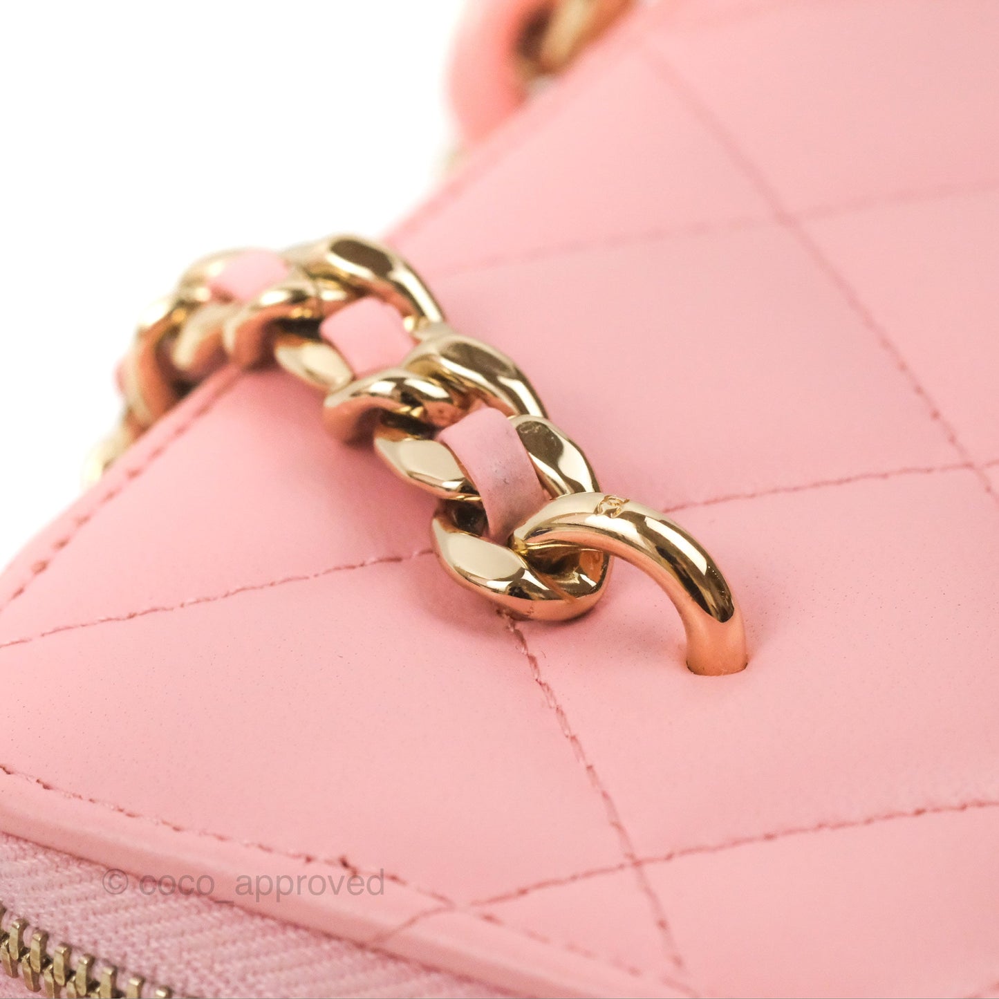 Chanel Resin Elegant Chain Vanity Case Pink Lambskin Gold Hardware
