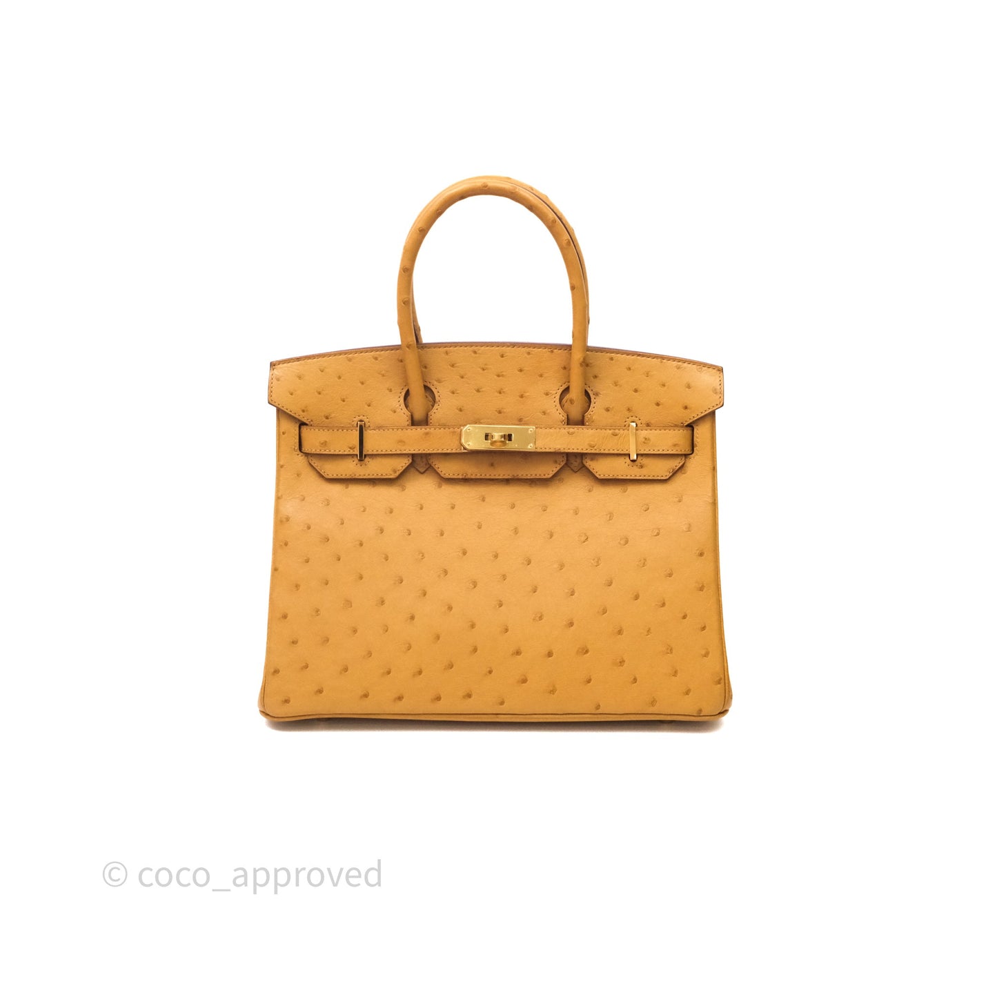 Hermès Birkin Retourne 30 Cognac 35 Ostrich Gold Hardware