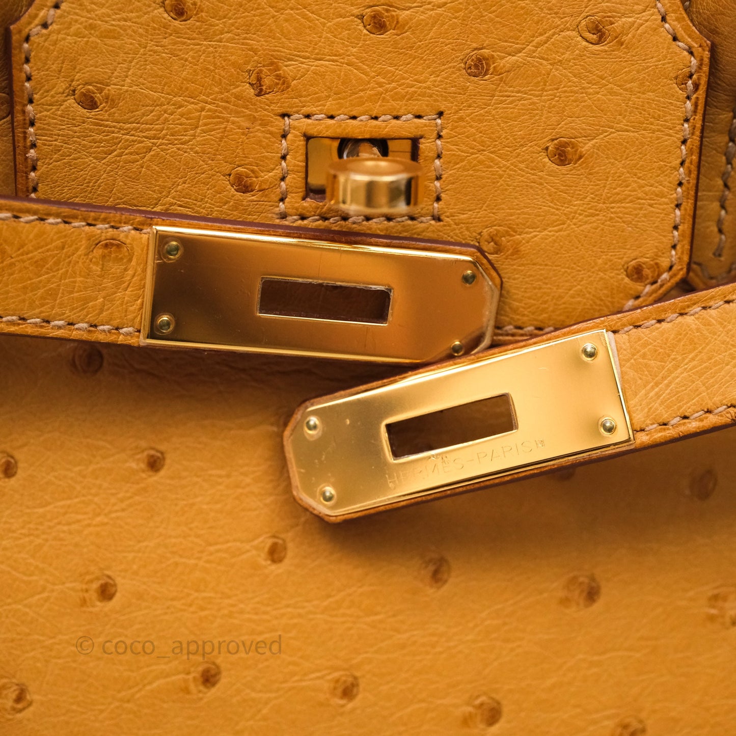Hermès Birkin Retourne 30 Cognac 35 Ostrich Gold Hardware