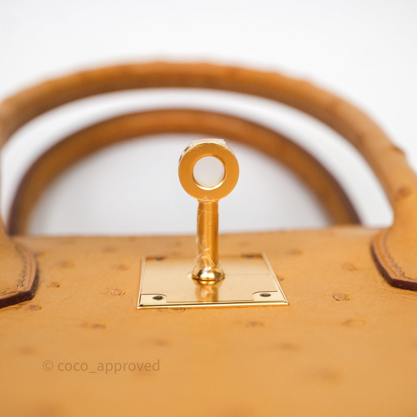 Hermès Birkin Retourne 30 Cognac 35 Ostrich Gold Hardware
