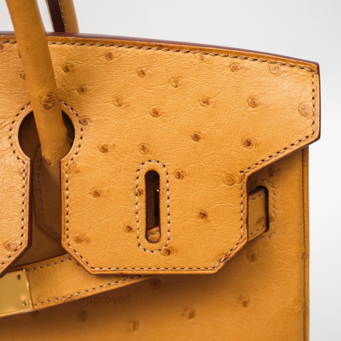 Hermès Birkin Retourne 30 Cognac 35 Ostrich Gold Hardware