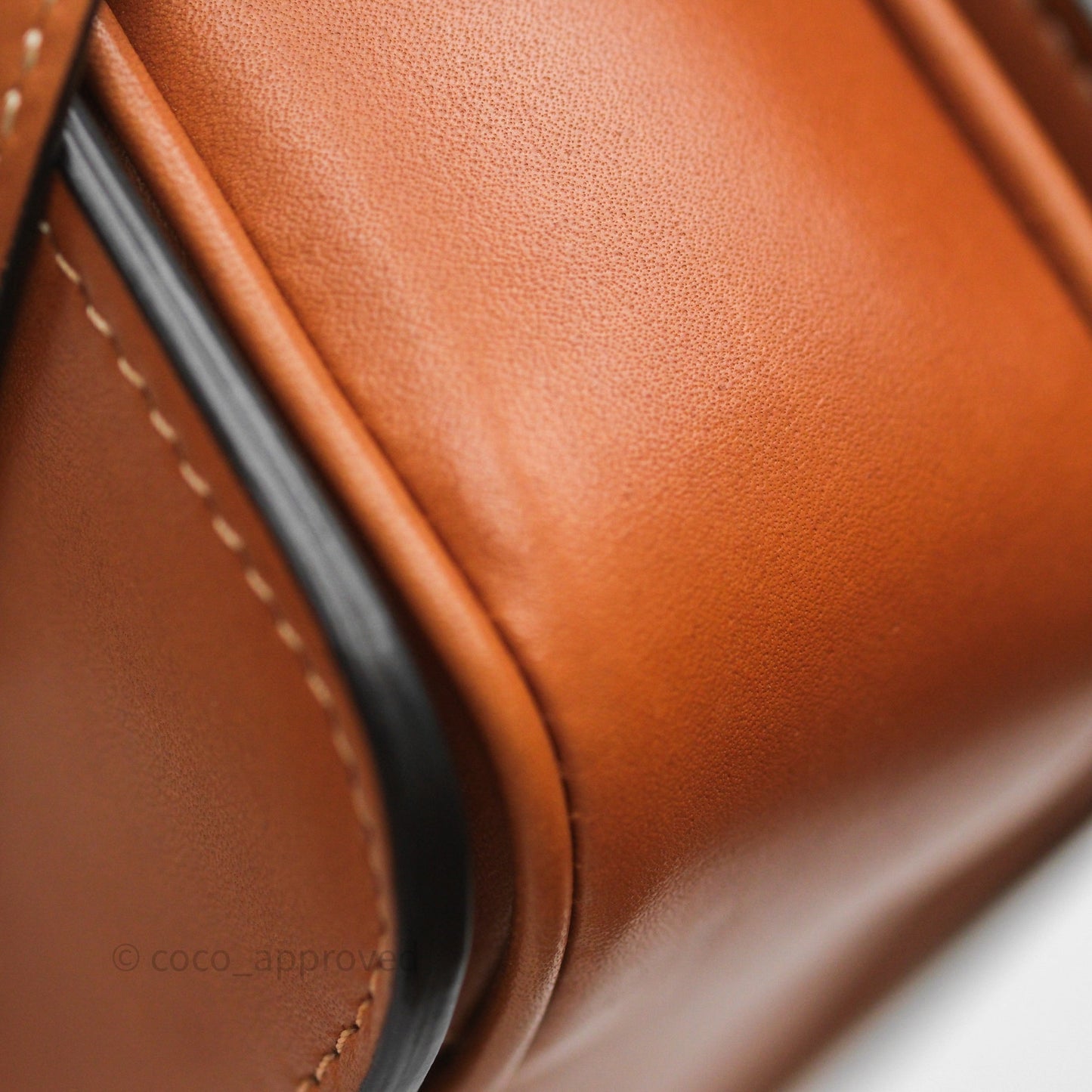 Celine Teen Triomphe Bag Tan Natural Calfskin Gold Hardware