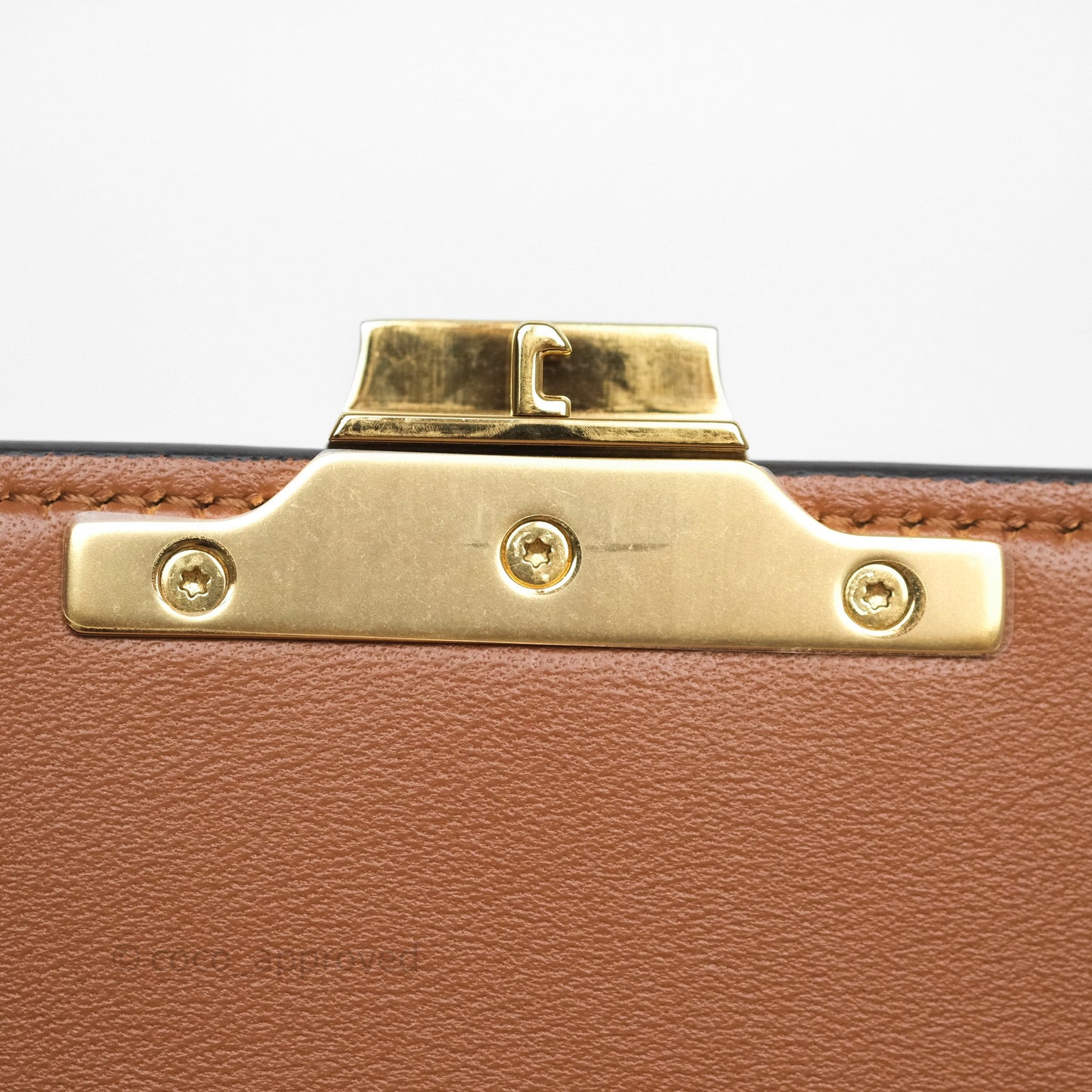 Celine Teen Triomphe Bag Tan Natural Calfskin Gold Hardware