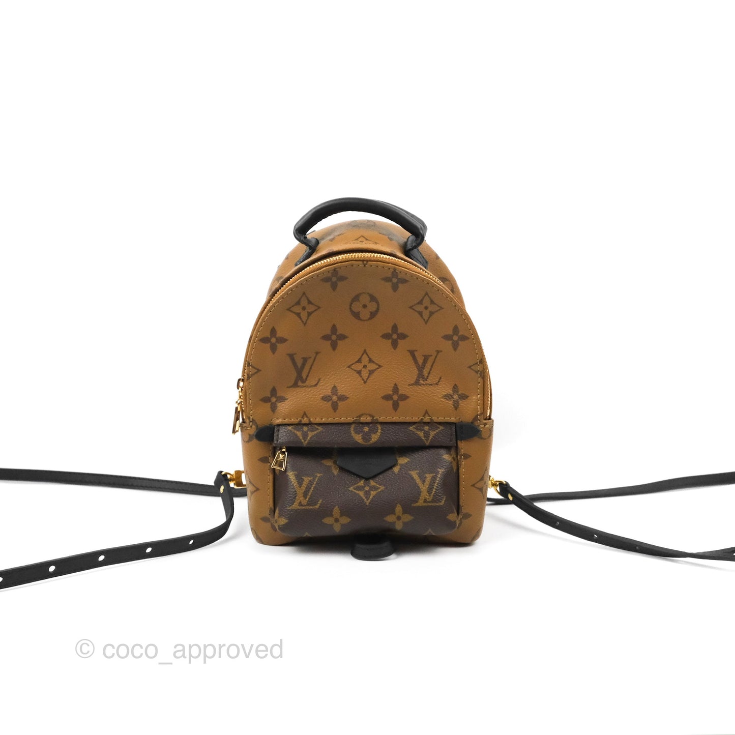 Louis Vuitton Reverse Mini Palm Springs Backpack⁣