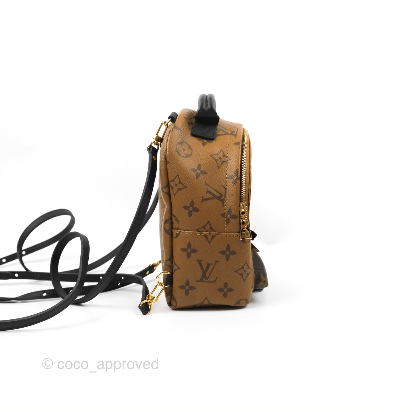 Louis Vuitton Reverse Mini Palm Springs Backpack⁣