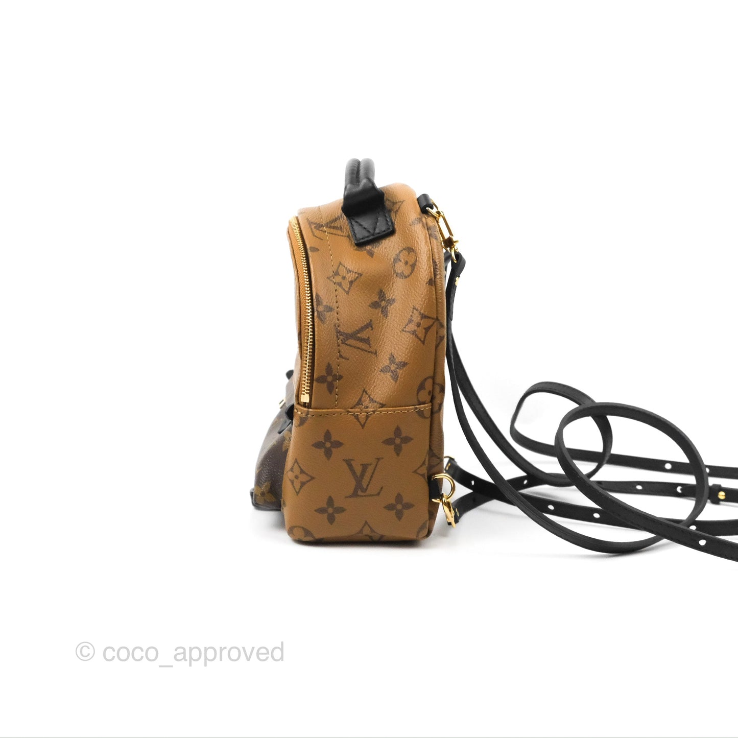 Louis Vuitton Reverse Mini Palm Springs Backpack⁣