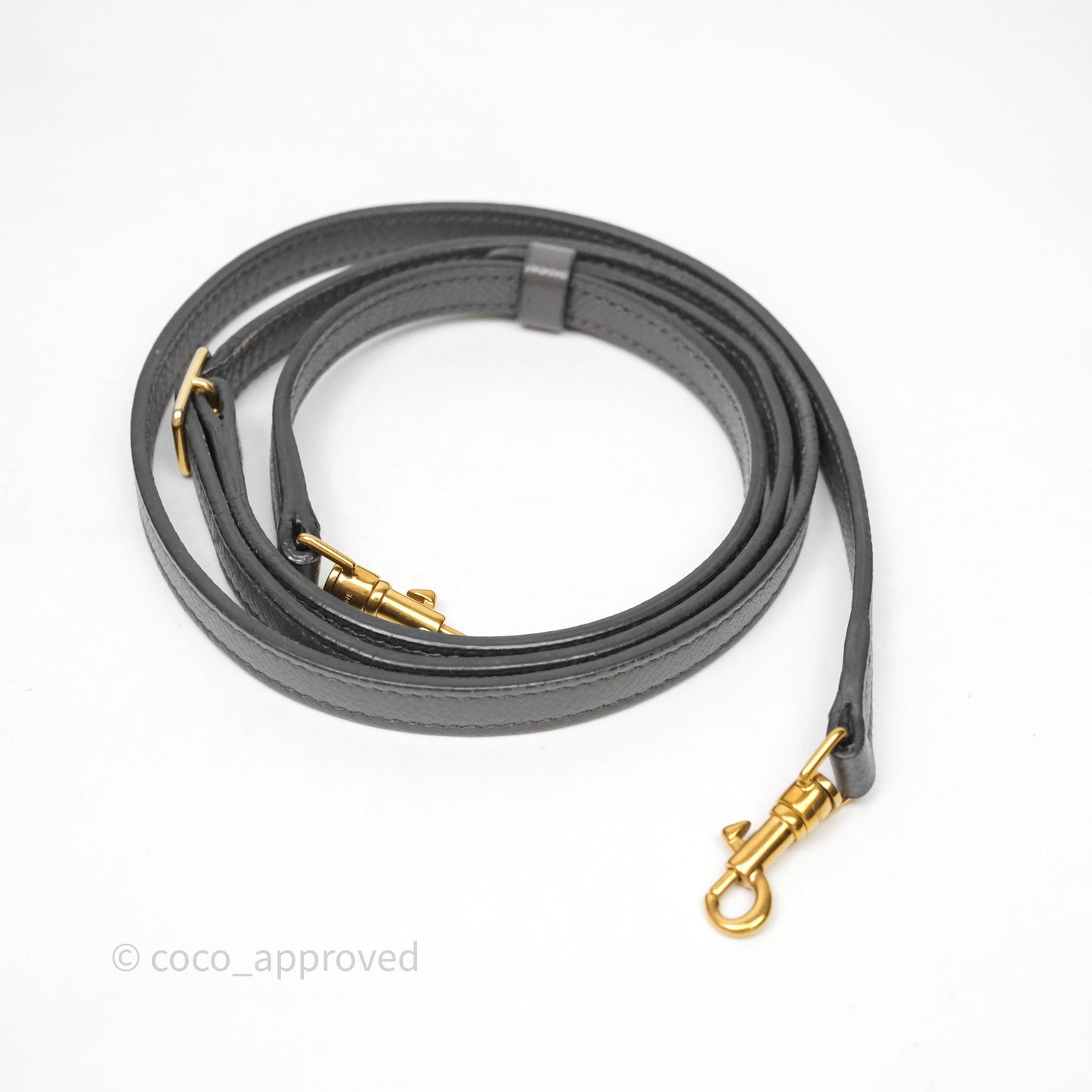 Celine Nano Belt Bag Grey Grained Calfskin Gold Hardware