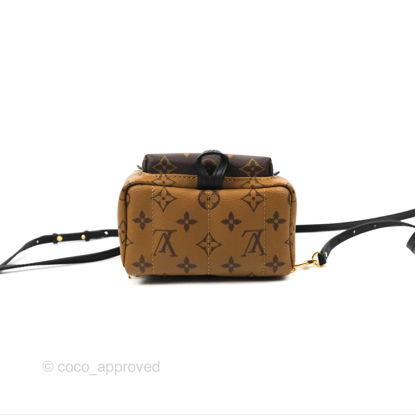 Louis Vuitton Reverse Mini Palm Springs Backpack⁣