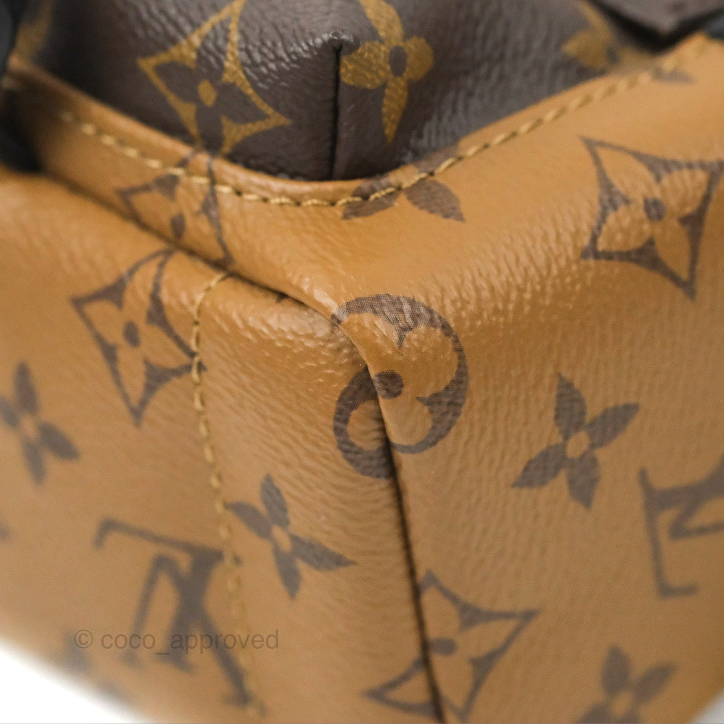 Louis Vuitton Reverse Mini Palm Springs Backpack⁣