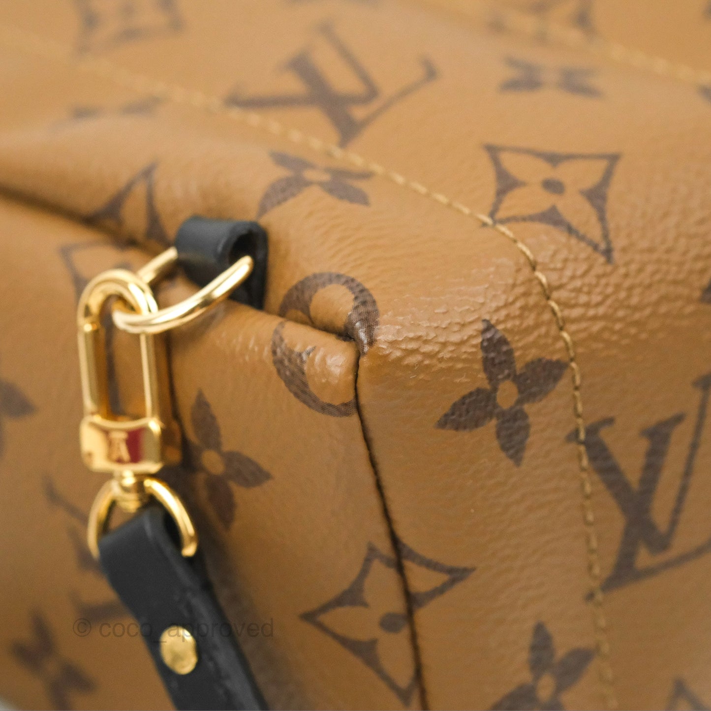 Louis Vuitton Reverse Mini Palm Springs Backpack⁣