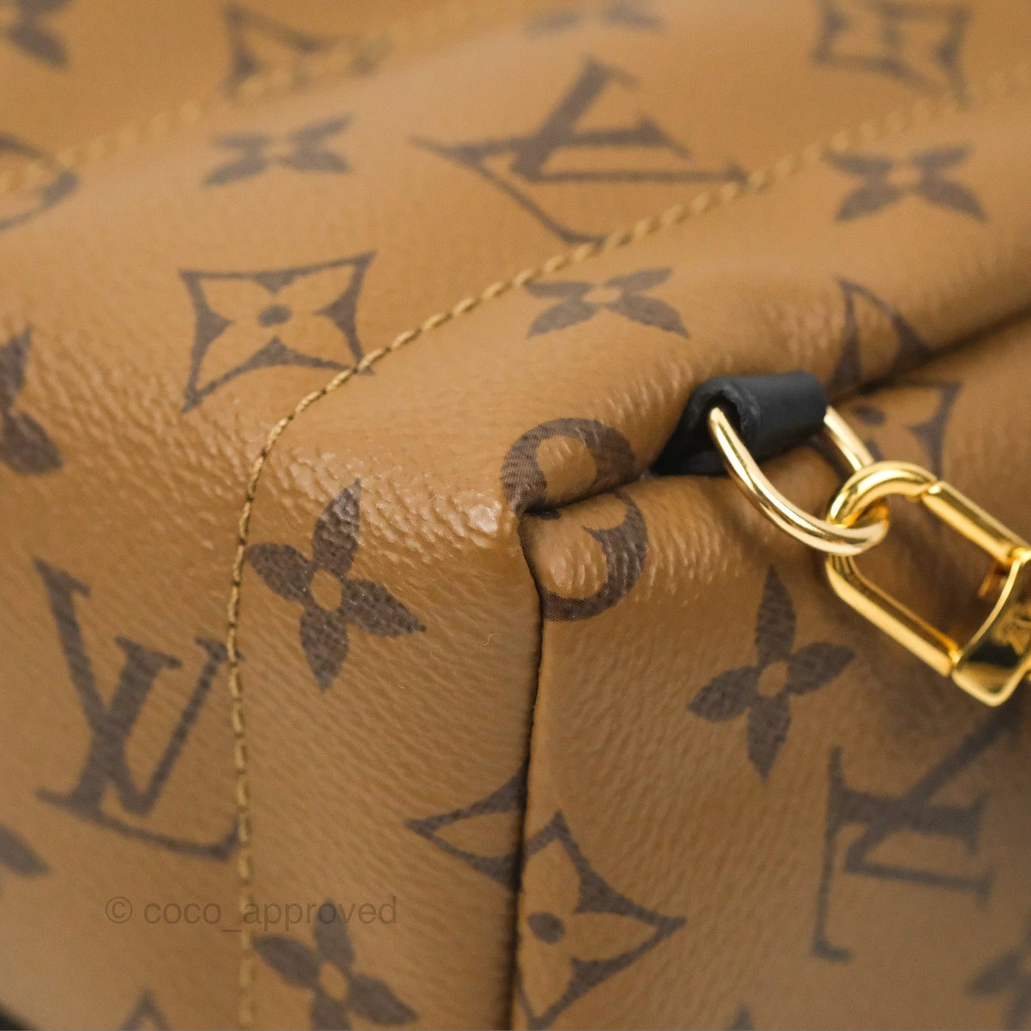 Louis Vuitton Reverse Mini Palm Springs Backpack⁣