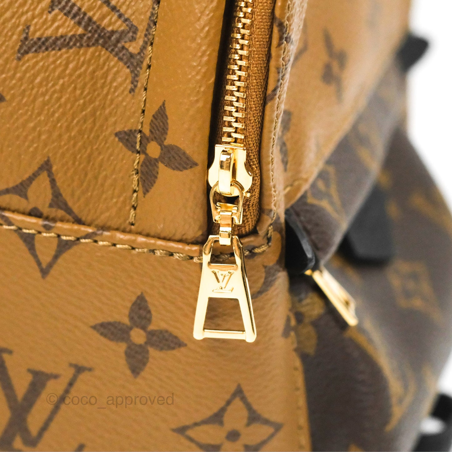 Louis Vuitton Reverse Mini Palm Springs Backpack⁣