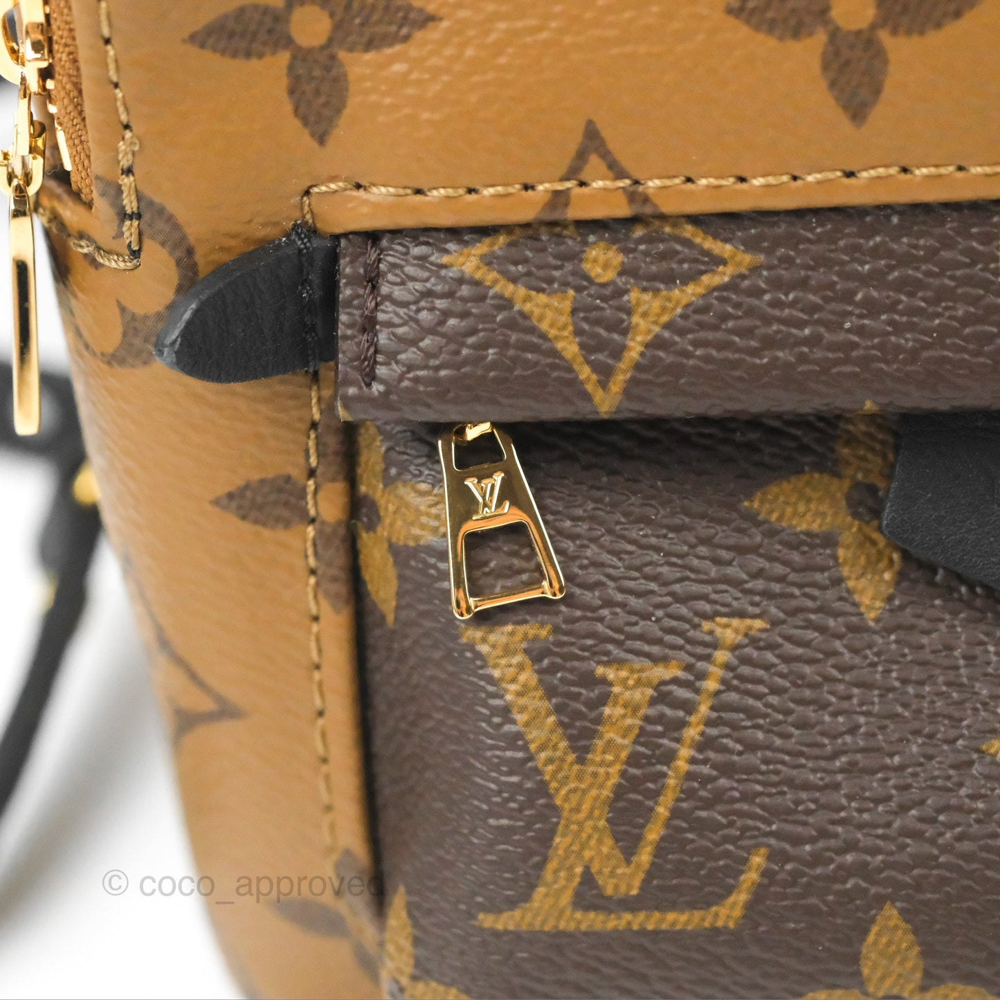 Louis Vuitton Reverse Mini Palm Springs Backpack⁣