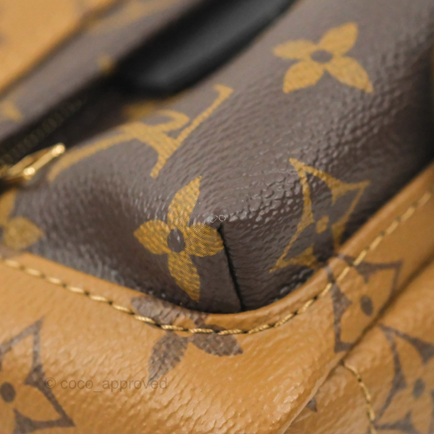 Louis Vuitton Reverse Mini Palm Springs Backpack⁣