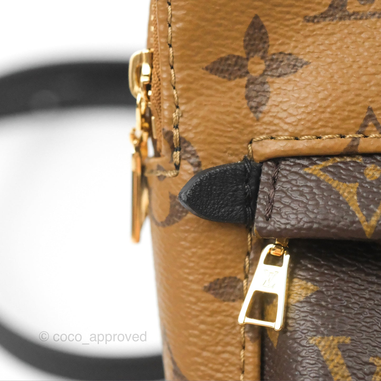 Louis Vuitton Reverse Mini Palm Springs Backpack⁣