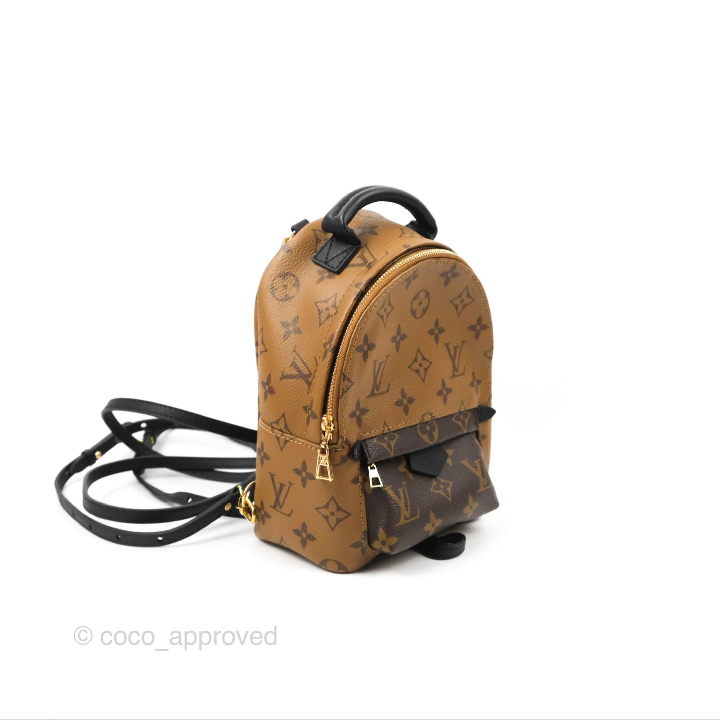 Louis Vuitton Reverse Mini Palm Springs Backpack⁣
