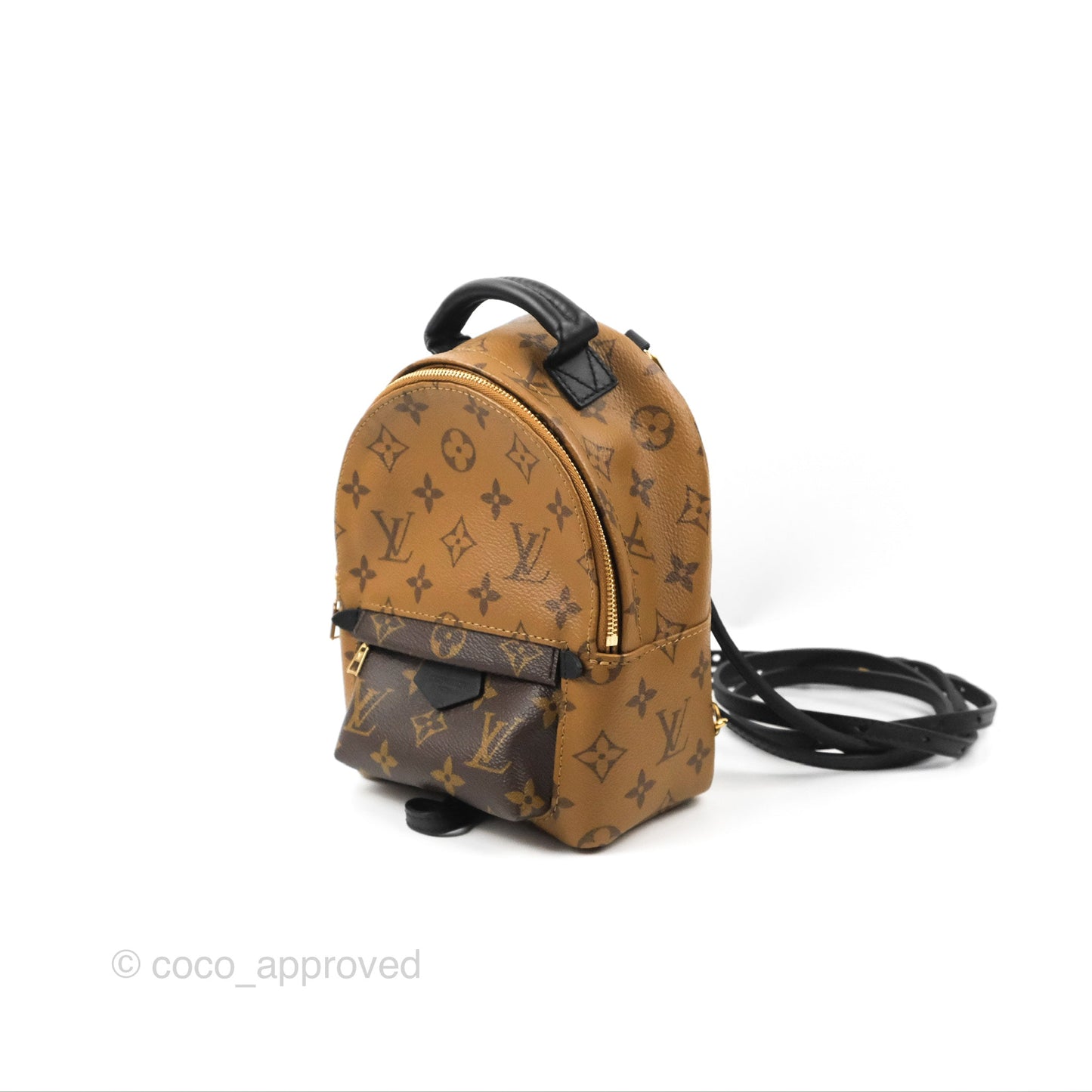 Louis Vuitton Reverse Mini Palm Springs Backpack⁣