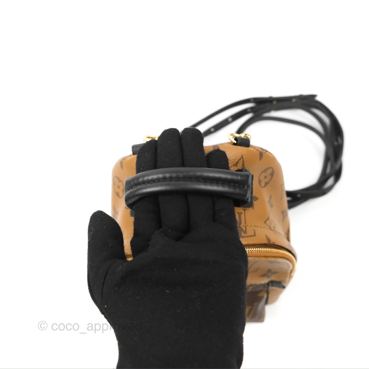 Louis Vuitton Reverse Mini Palm Springs Backpack⁣