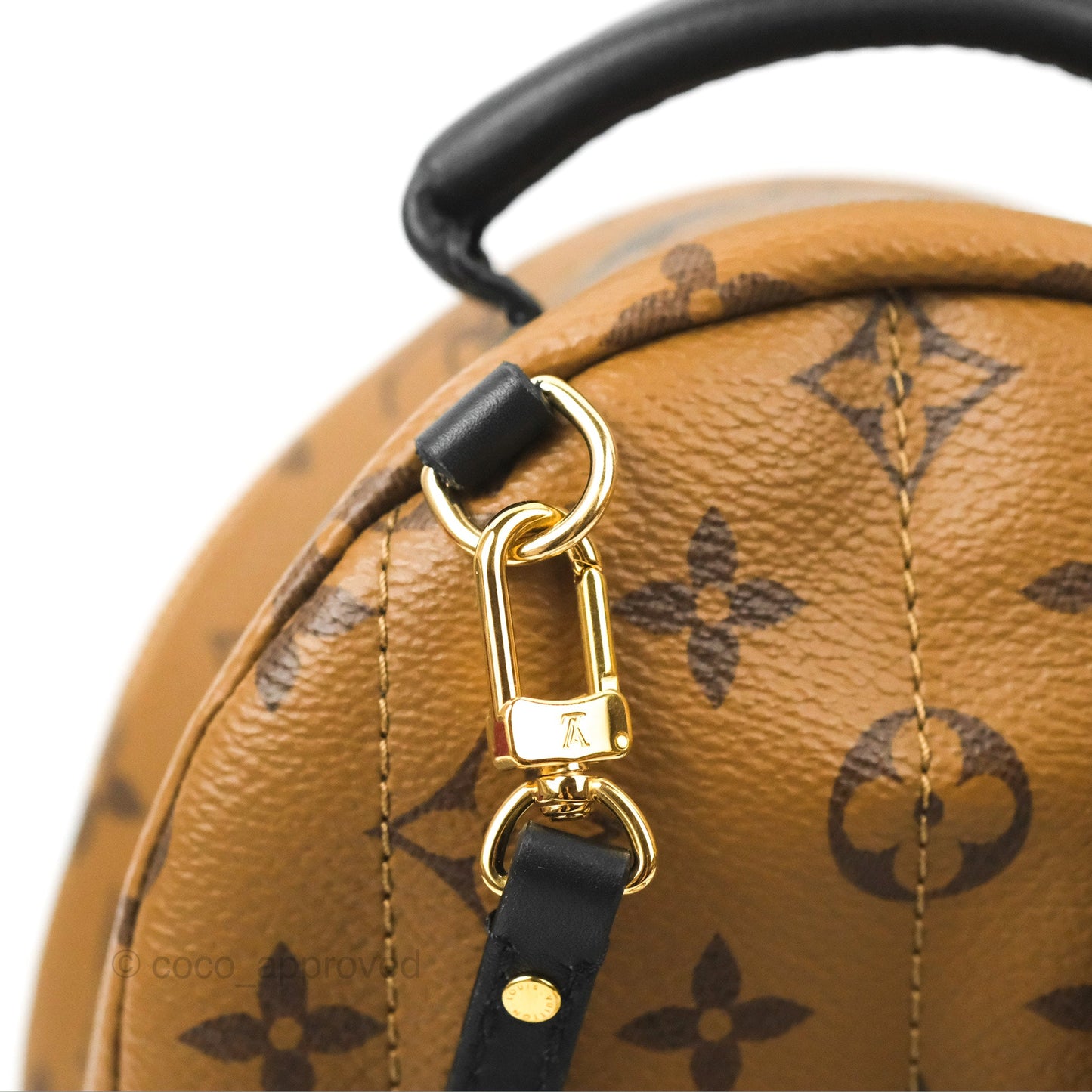Louis Vuitton Reverse Mini Palm Springs Backpack⁣