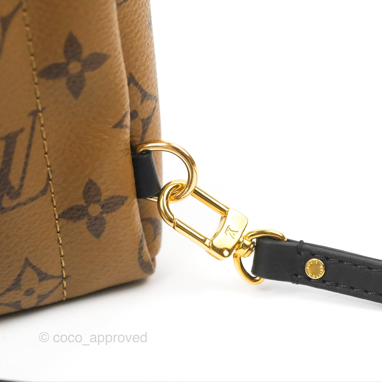 Louis Vuitton Reverse Mini Palm Springs Backpack⁣