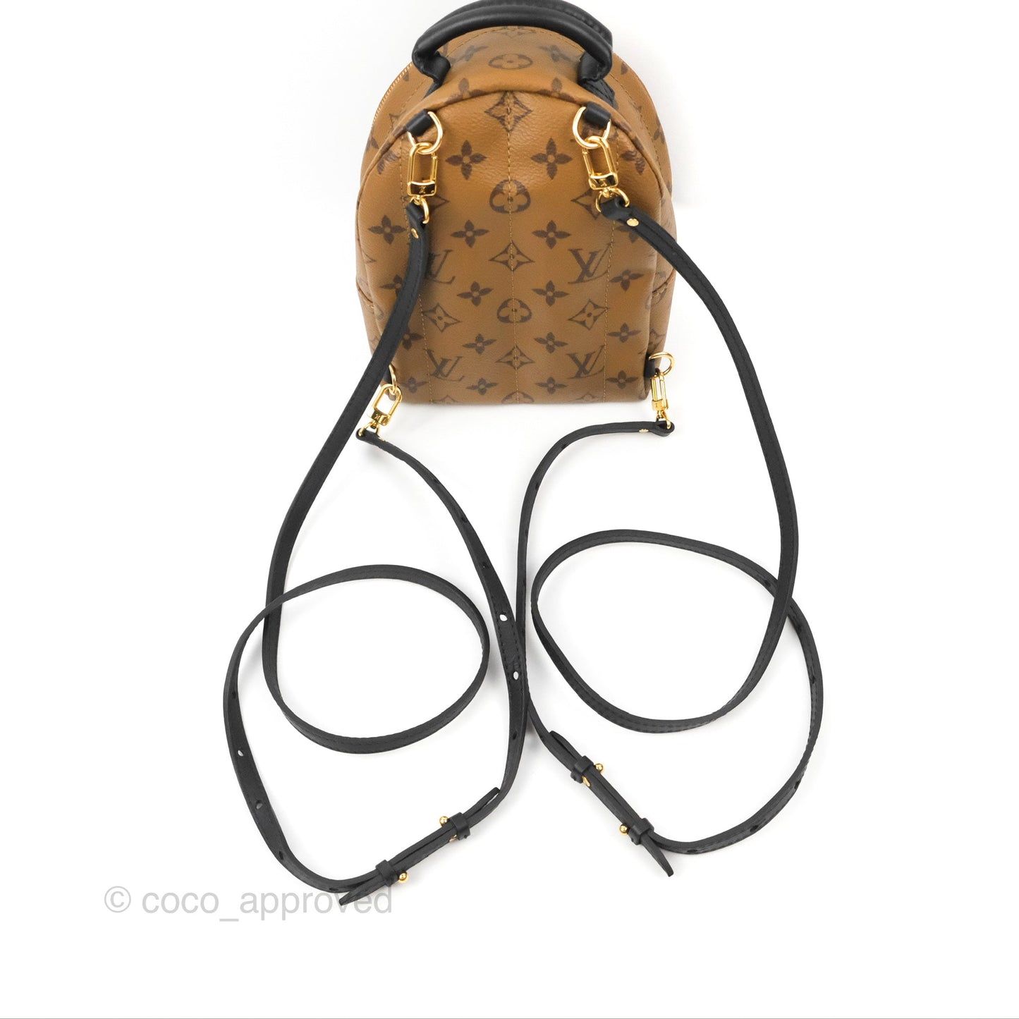 Louis Vuitton Reverse Mini Palm Springs Backpack⁣