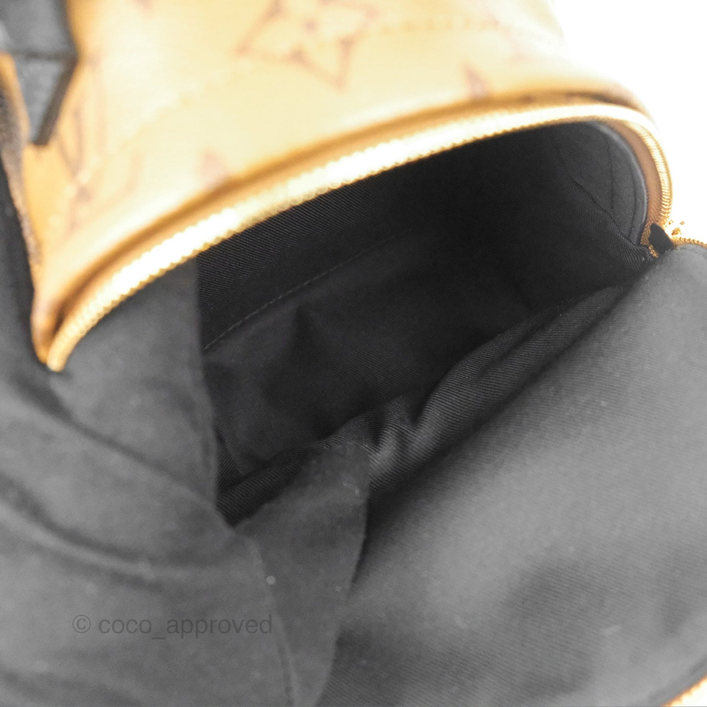 Louis Vuitton Reverse Mini Palm Springs Backpack⁣