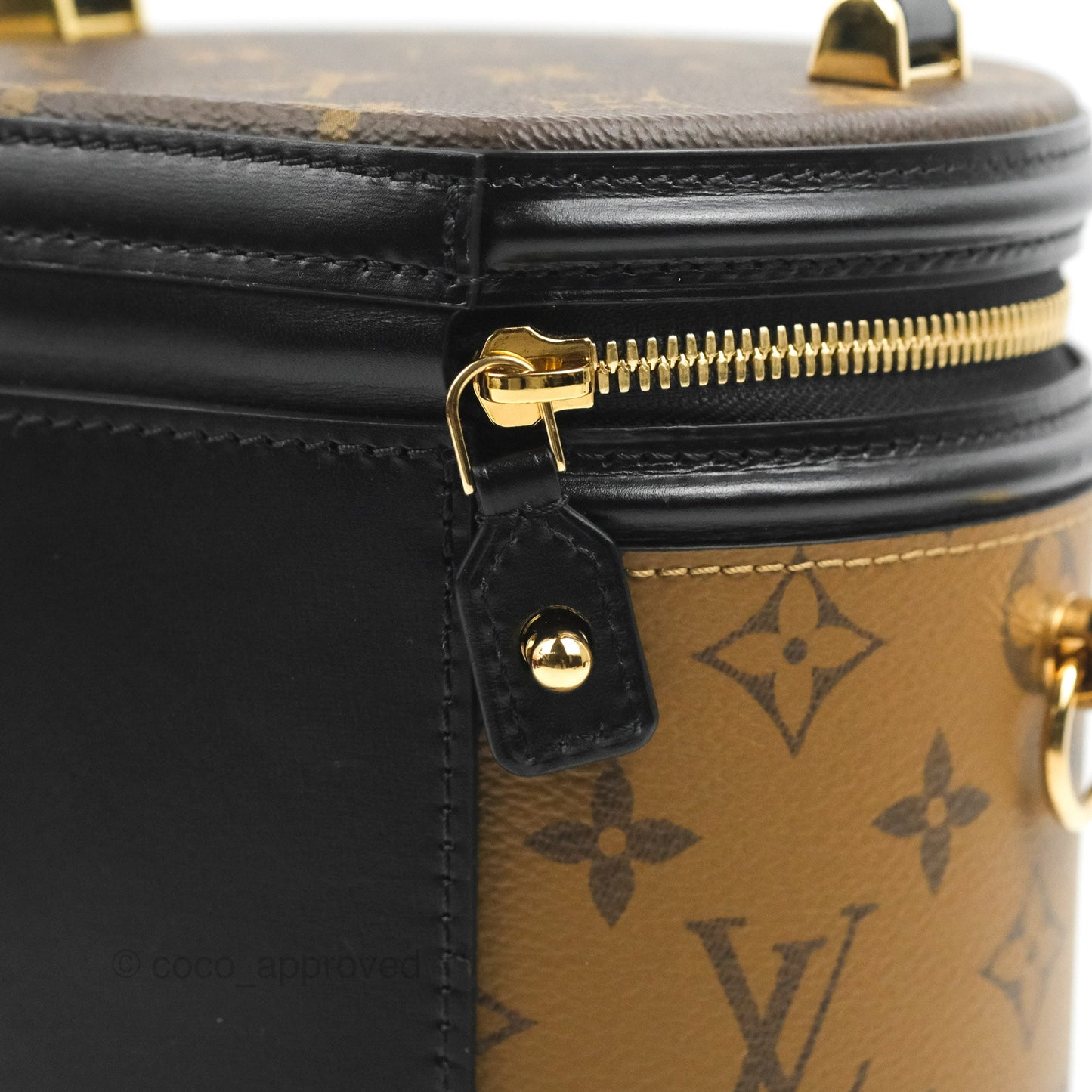 Louis Vuitton Monogram Canvas Reverse Cannes Bag