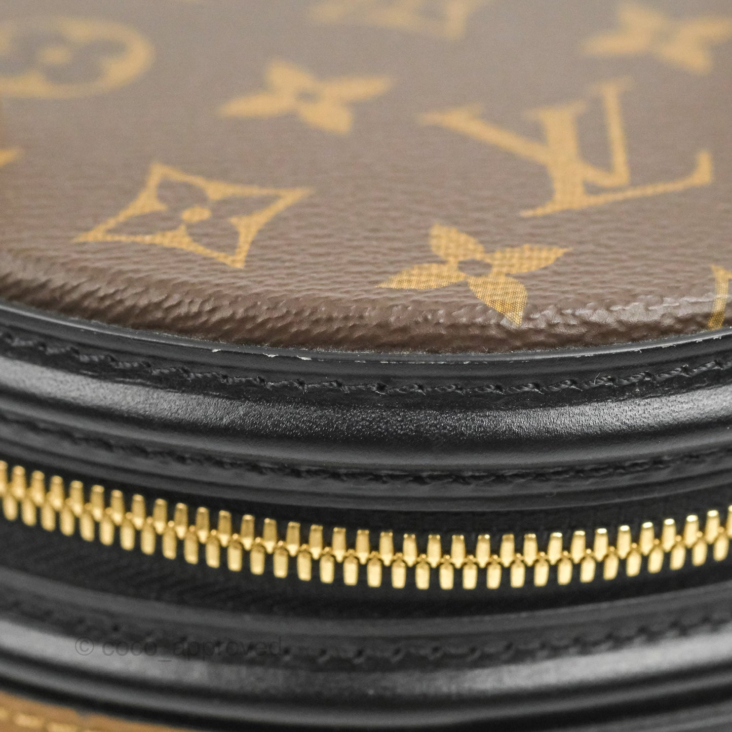 Louis Vuitton Monogram Canvas Reverse Cannes Bag