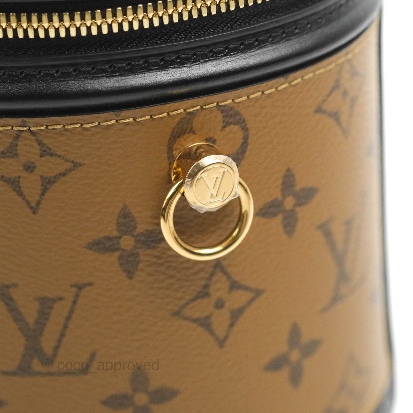 Louis Vuitton Monogram Canvas Reverse Cannes Bag