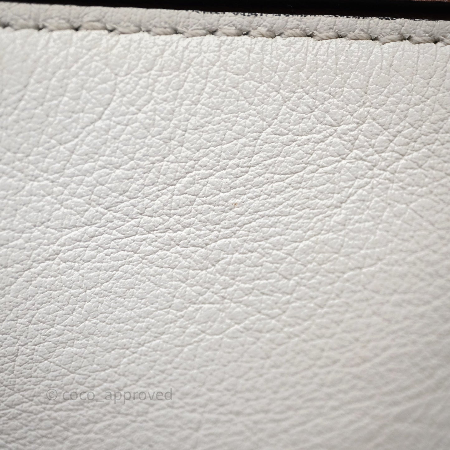 Loewe Small Graphic Puzzle Bag Ghost Soft White Calfskin