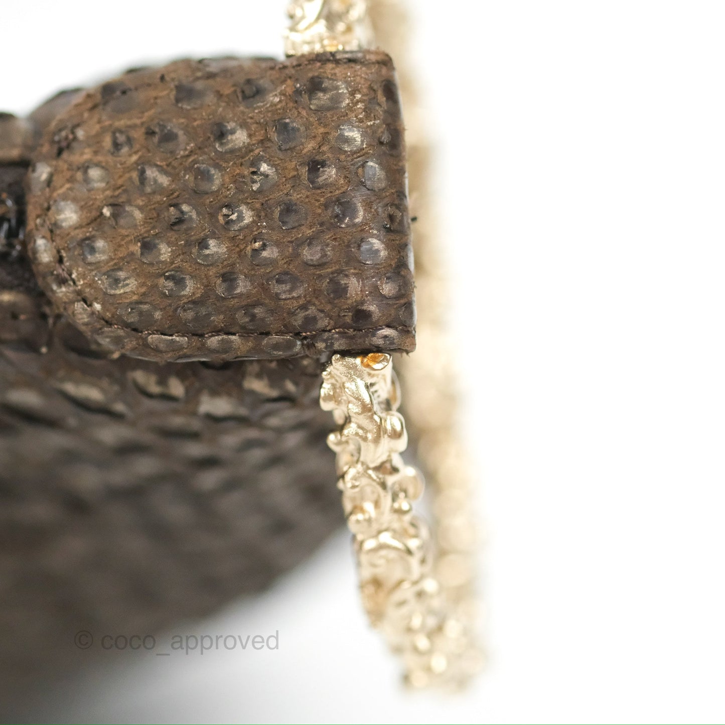 Chanel Python Fortune Cookie Clutch