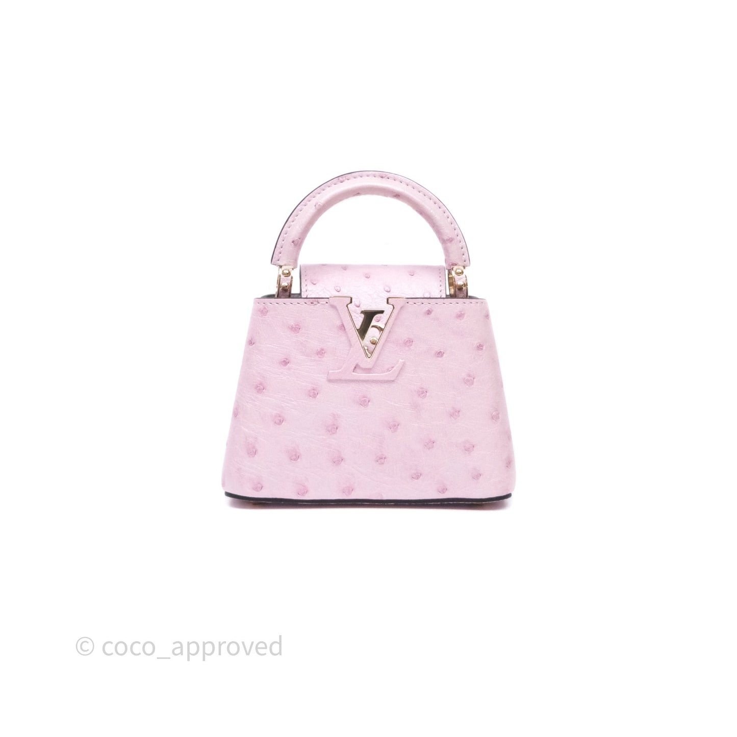 Louis Vuitton Taurillon Capucines Nano Pink in Ostrich