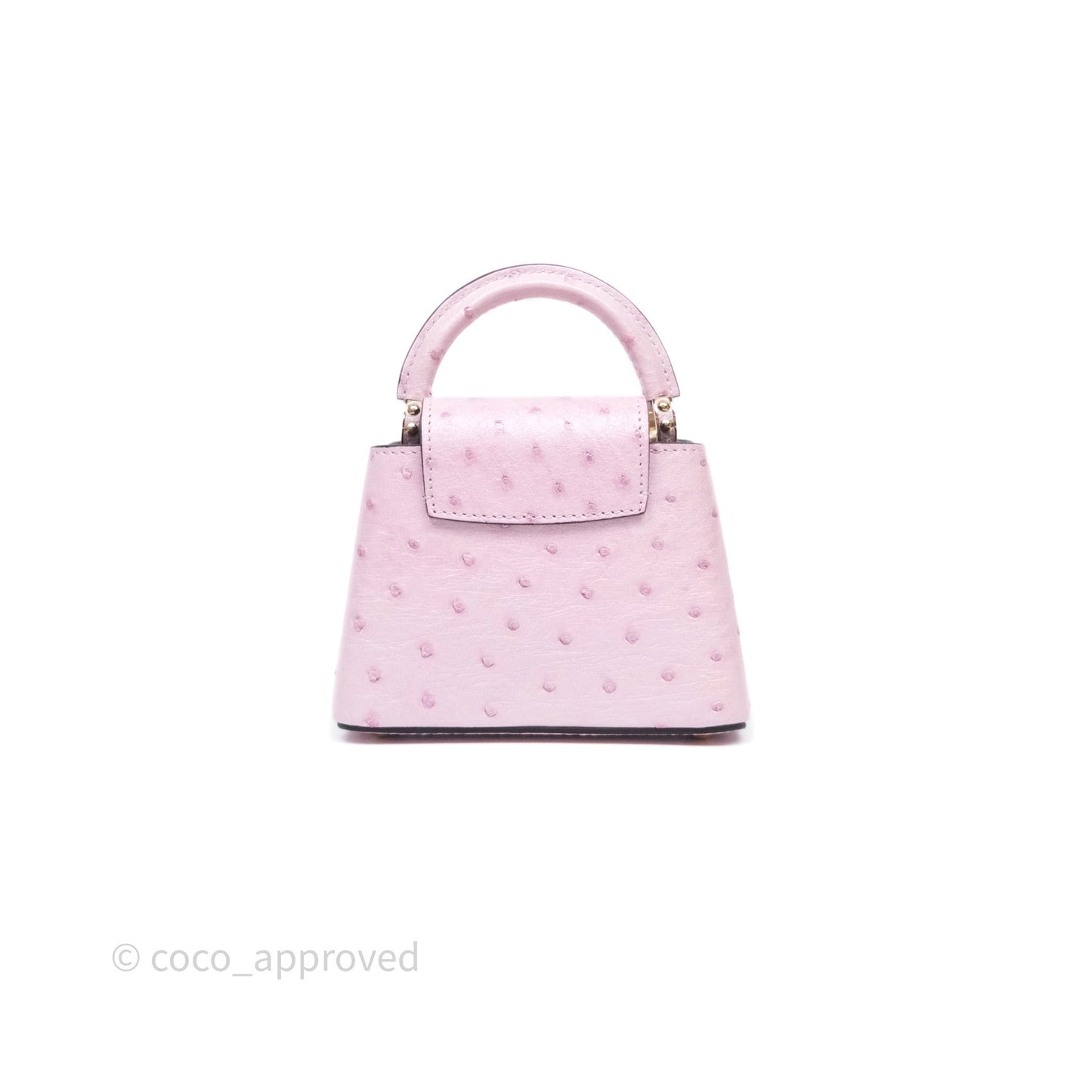 Louis Vuitton Taurillon Capucines Nano Pink in Ostrich