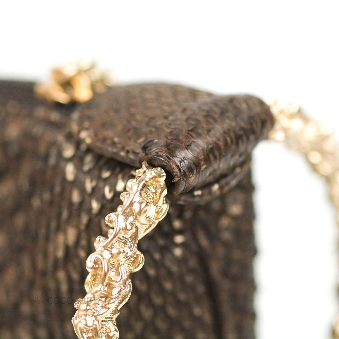 Chanel Python Fortune Cookie Clutch