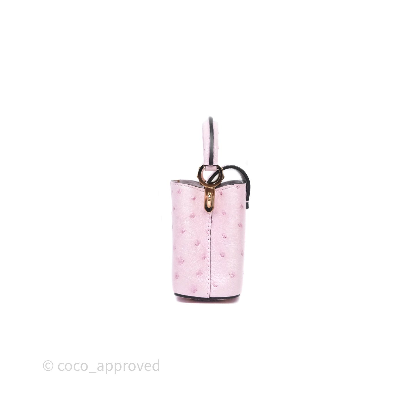 Louis Vuitton Taurillon Capucines Nano Pink in Ostrich