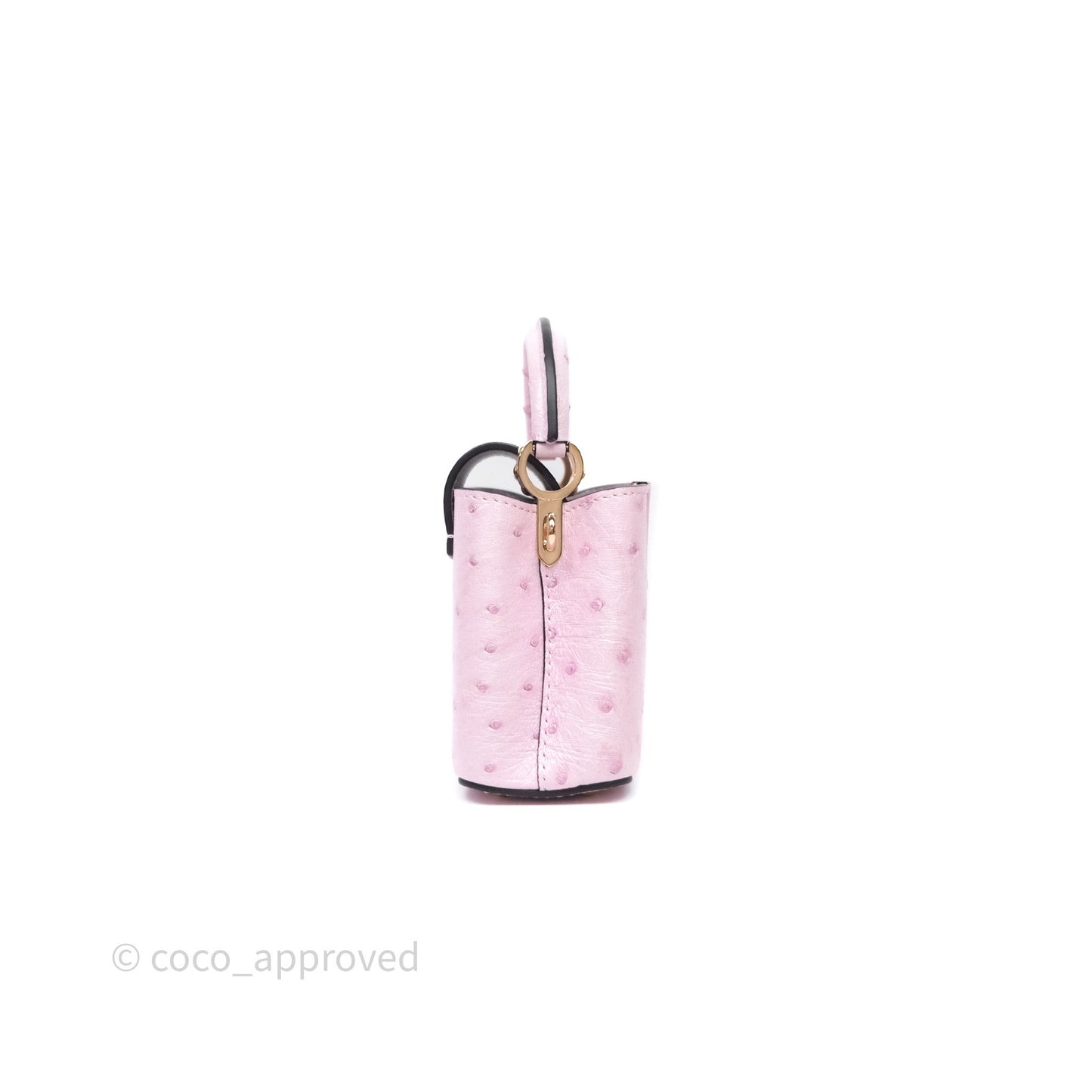 Louis Vuitton Taurillon Capucines Nano Pink in Ostrich
