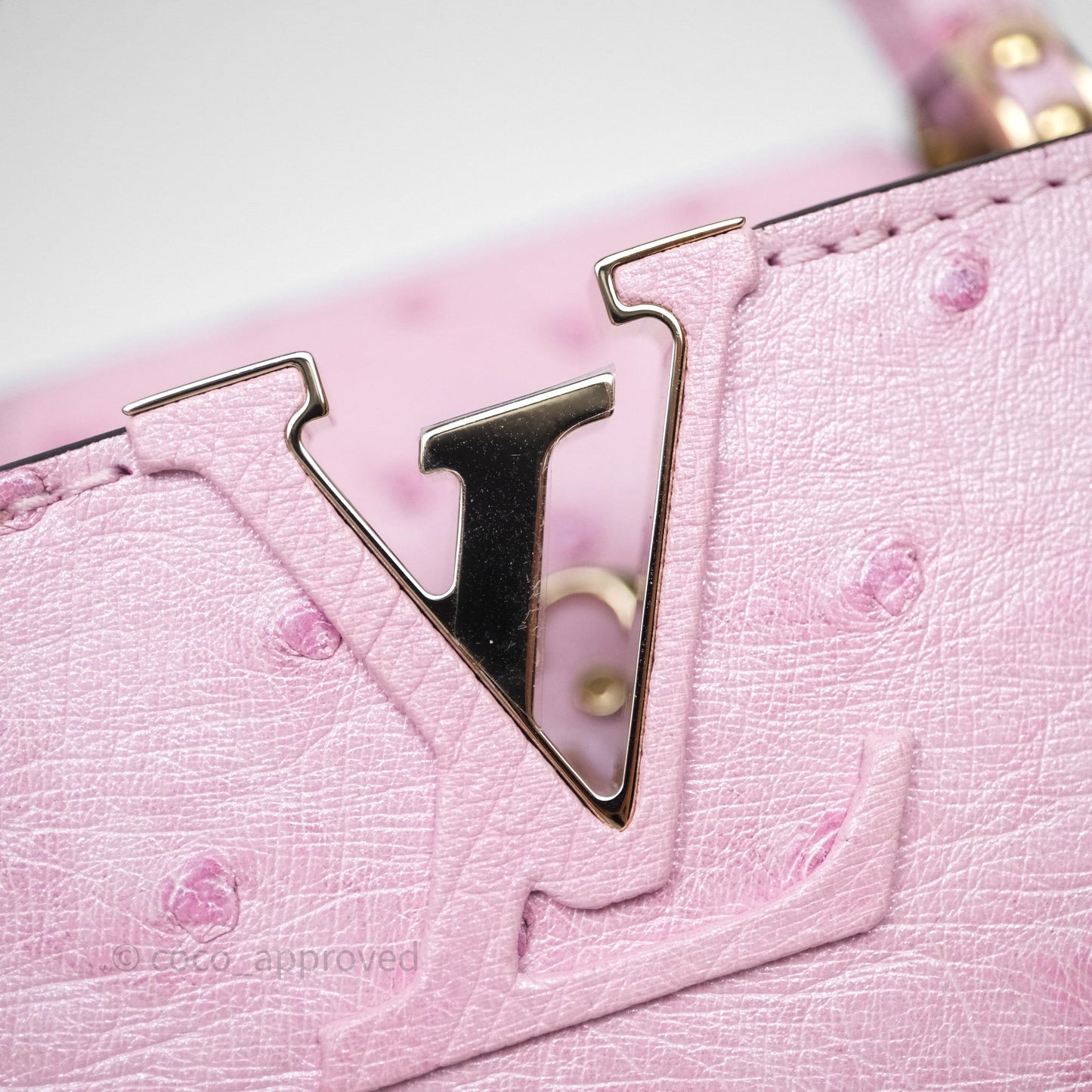 Louis Vuitton Taurillon Capucines Nano Pink in Ostrich