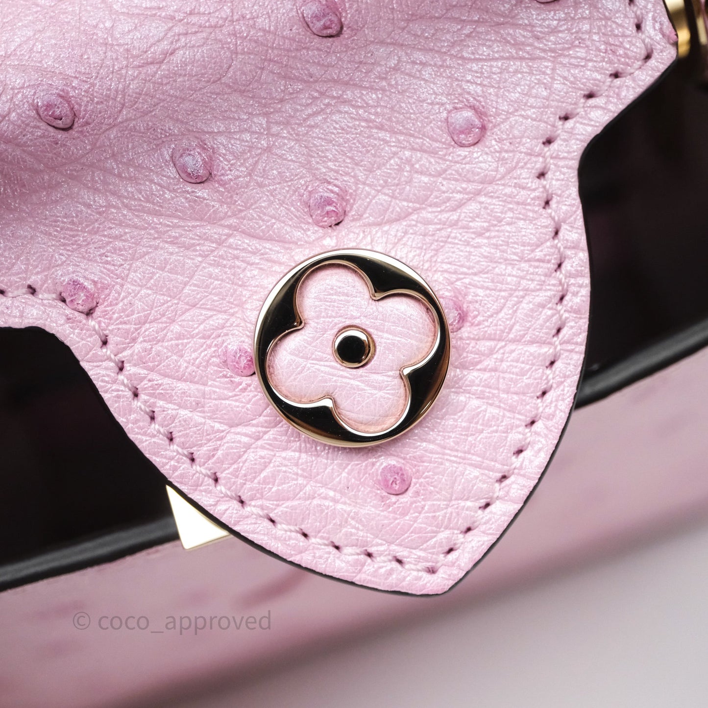 Louis Vuitton Taurillon Capucines Nano Pink in Ostrich