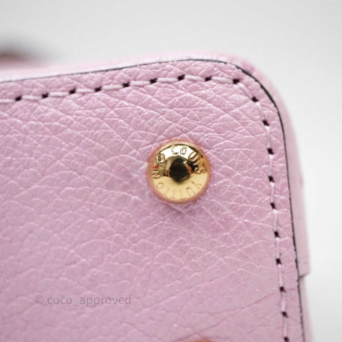Louis Vuitton Taurillon Capucines Nano Pink in Ostrich