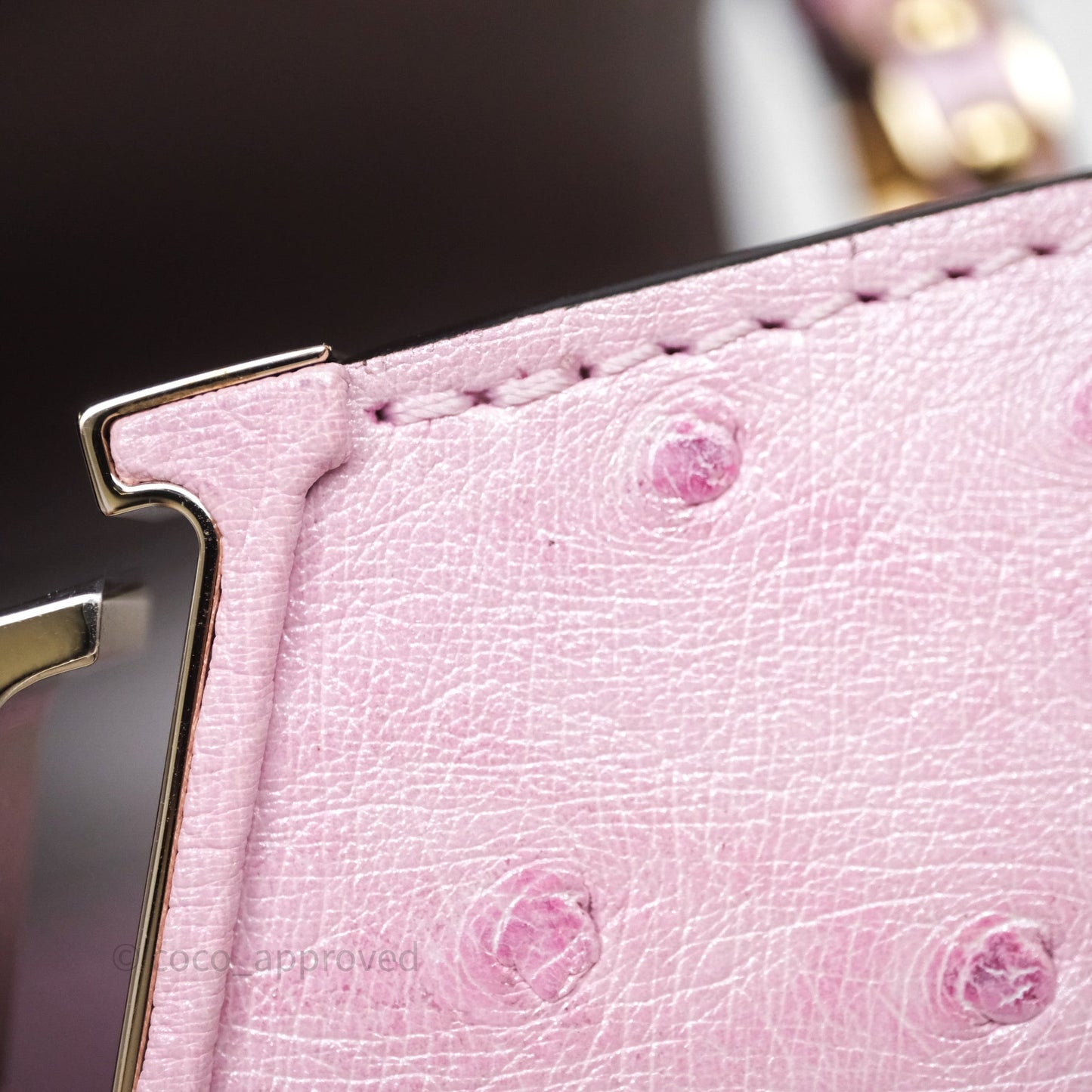 Louis Vuitton Taurillon Capucines Nano Pink in Ostrich